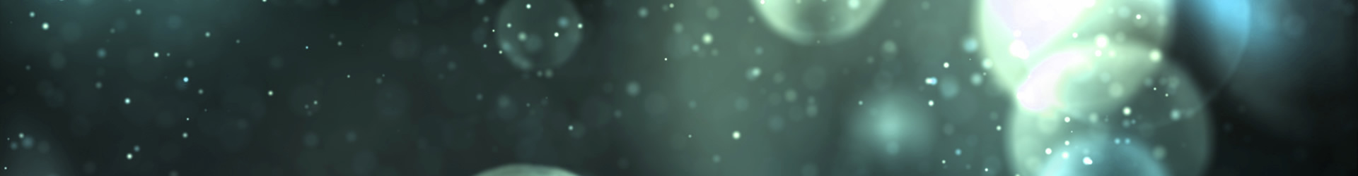 Wander Silent Forest